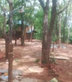 Kimbissa Hotel | sigiri treehouse