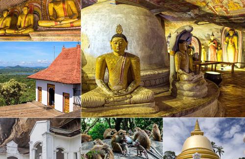 Sigiriya Hotel | Sigiriya Hotel and Resort