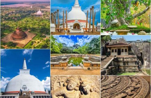 Sigiriya Hotel | Sigiriya Hotel and Resort