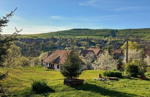 Siclod House | Siklód. Csaba vendégház (5 fő)