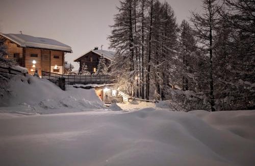 Livigno Apartment | Silva: The Alpine Chalet