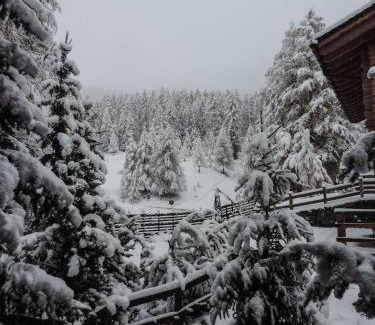 Livigno Apartment | Silva: The Alpine Chalet