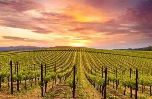 Napa Apartment | Silverado Resort and Spa 271