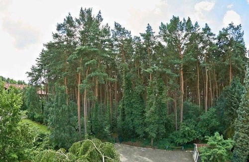 Bad Bevensen Cottage | Single Room - Pension Elfi