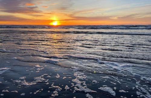Ocean Shores House | Sip Sea Beach Cottage