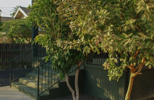 Elysian Heights House | SITU Montana - Echo Park (Brand New)