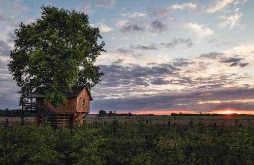 gmina Stare Miasto Resort | Skansen Bicz Resort