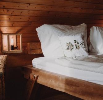 Ternitz Ski Chalet | Skigebiete Stuhleck und Semmering,Wandergebiete Schneeberg und Rax