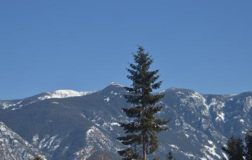 Creston Hotel | Skimmerhorn Inn