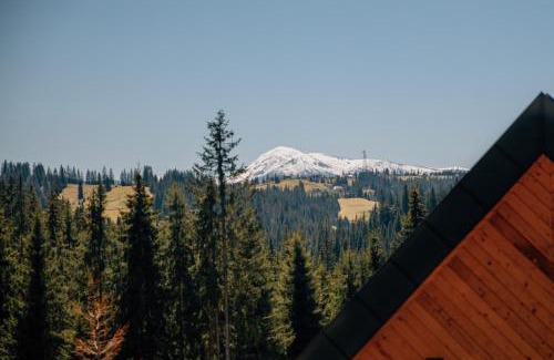 Yablunytsya Ski Chalet | SKOGUR - Home & Resort