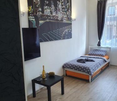 Brno Apartment | Skorkovského Business