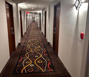 Delavan Hotel | Sky Lodge Inn & Suites - Delavan