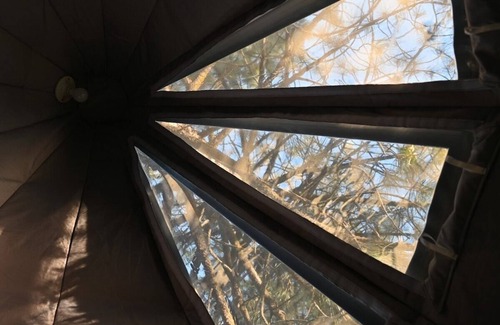 Dunlap Apartment | Sky Pod #2/Tree Tent 2