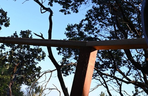 Dunlap Apartment | Sky Pod #2/Tree Tent 2