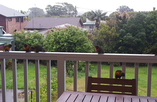 Currarong House | Skyview - located at Currarong