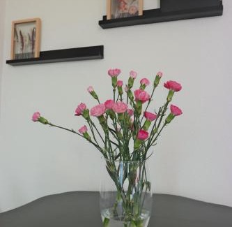 Dokkum Apartment | Slaap Lekker