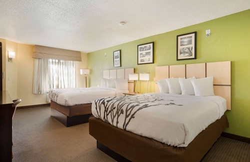 East Paris Hotel | Sleep Inn & Suites Grand Rapids Southeast - Kentwood