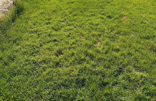 Vineyard Apartment | Sleepy Ridge Studio - Sleeps 2