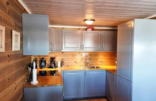 Vestre Slidre House | Slettabu by Norgesbooking - cabin with lovely view