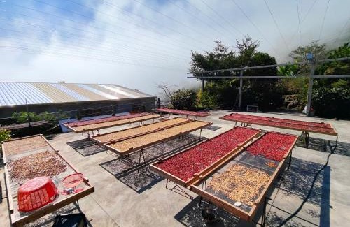Fanlu House | Slow House