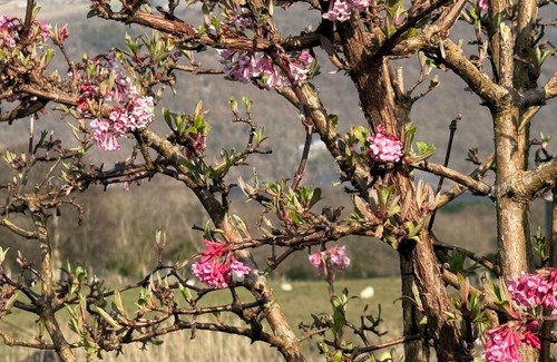 Gallt Y Foel House | Snowdon Cottage Llanberis Tucked Away In The Mountains Of Snowdonia