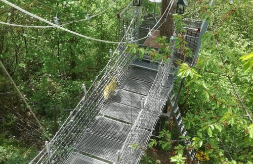Bundenthal Apartment | So close to the sky - vacation on the treetops