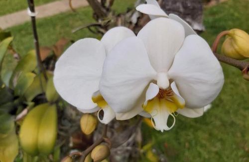 Arroio do Sal House | SOBRADO COM PISCINA