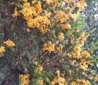 Anaviratty House | Soly's Villa Homestay