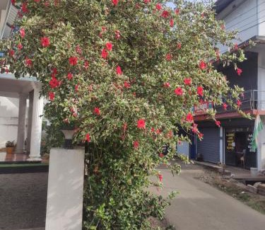 Anaviratty House | Soly's Villa Homestay