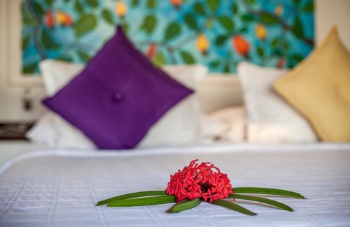 Pipa Hotel | Sombra e Água Fresca Resort