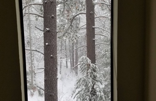 Arrowbear Lake Cabin | Somethings old, somethings new, clean and cozy just for you.