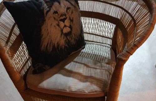 Pongola Cabin | Somkhanda Game Reserve