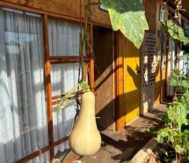 Orania House | Sonskip Oornagverblyf