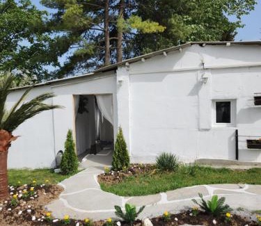 Mladenovac Resort | Spa center Apartment Belgrad