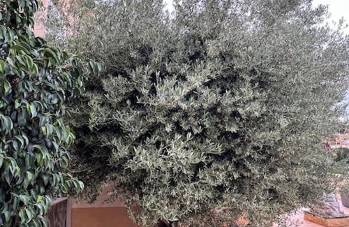 La Nucia Villa | Spacieuse villa avec vue panoramique