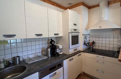 Correncon-en-Vercors Apartment | Spacieux appartement 107m² à Corrençon-en-Vercors - FR-1-761-46