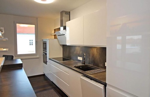 Tulln an der Donau Apartment | Spacious apartment (102sqm) with kitchen and terrace