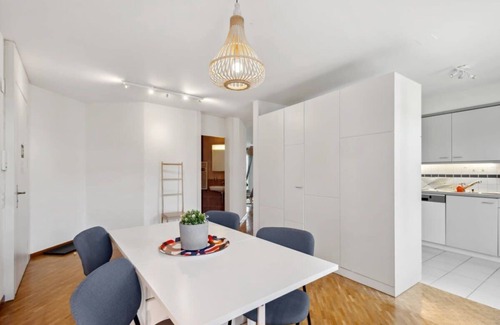 Hottingen Apartment | Spacious Apartment in Zurich's Heart