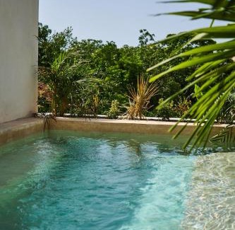 Zama Apartment | Spacious & Comfy Penthouse Oasis with Plunge Pool