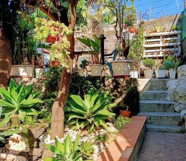 Cannizzaro House | Spacious Entire Apartment - Sicilian Design - by Sea with Garden & Parking