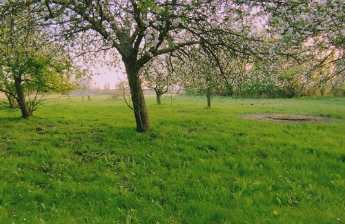 Borgerende Apartment | Spacious holiday apartment with terrace