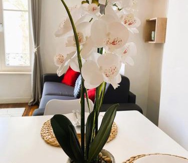 Saint Nicolas - Charles III - Ville vieille - Trois Maisons - Leopold Apartment | Spacious Home-Style Nancy Apartment