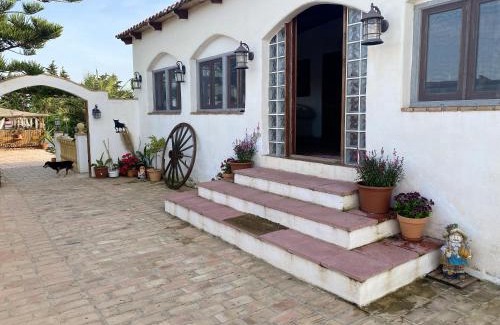 Torre-Pacheco House | Spacious House with Private Pool in Torre-Pacheco