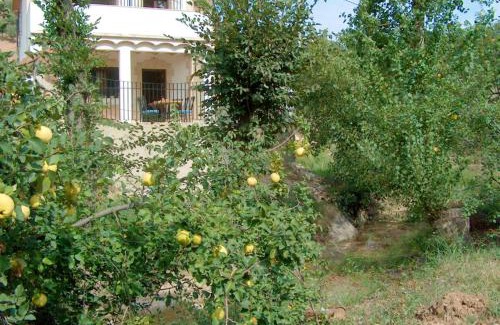 Rute Villa | Spacious House Zambra + Pool