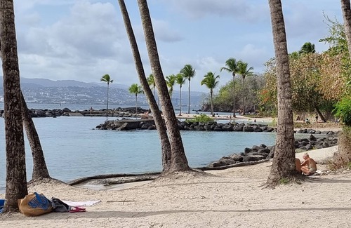 Pointe du Bout Apartment | Spacious studio with terrace in the Village Créole