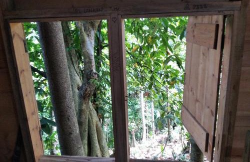 Rattota Cabin | Spiritual Nature Farm - Sri Lanka