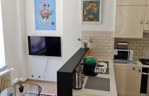 Onze-Lieve-Vrouw-ter-Sneeuw Apartment | Splendid Apartment Bright and Central