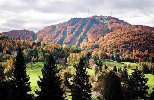 Bromont Apartment | Splendid Mountain View Condo with Fireplace and Free Ski Mountain Shuttle!