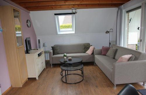 Zwiggelte House | Spotvogel I Vacation Home