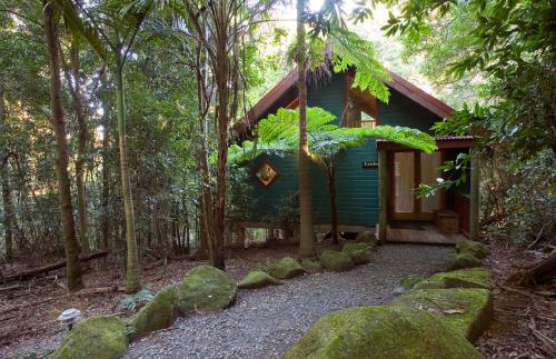 Springbrook Cabin | Springbrook Lyrebird Retreat